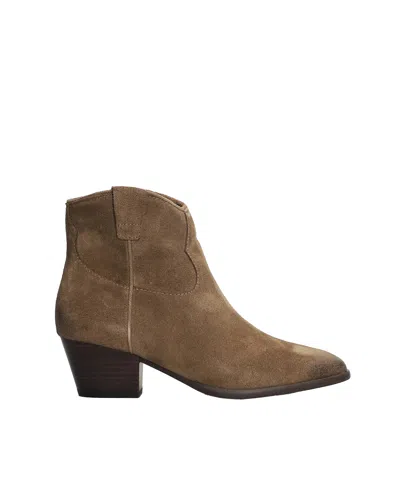 Ash Stivaletti In Pelle Scamosciata Marrone