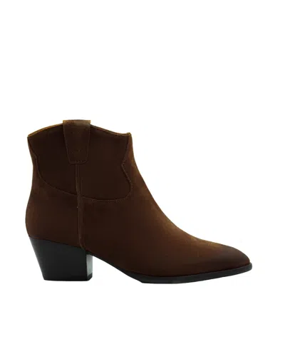 Ash Stivaletto Fame Suede Velours Mink In Brown