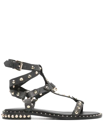 Ash Stud-embellished Leather Sandals In Black