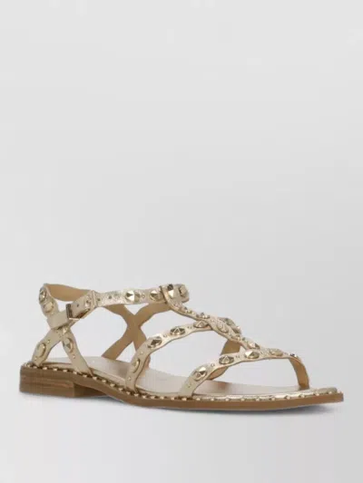 Ash Studded Flat Sandals Metallic Finish In Brown
