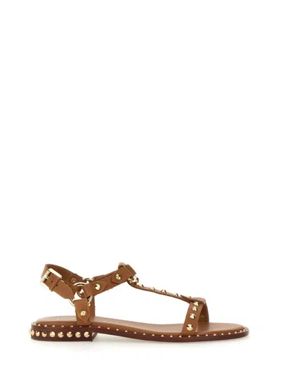 Ash Patsy Stud-embellished Sandals In Brown