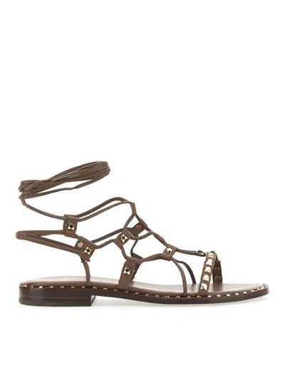 Ash Studded Sandal In Brown