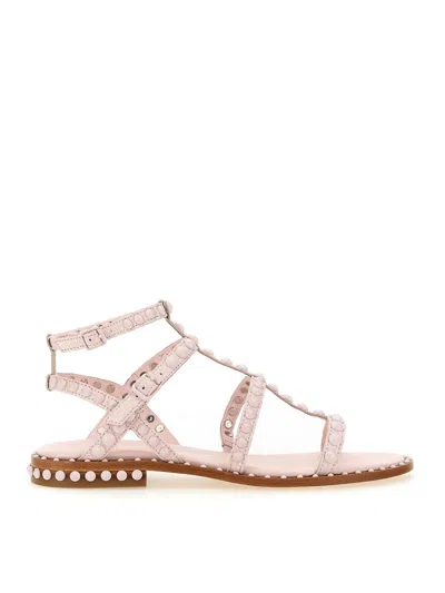 Ash Studded Sandal In Nude & Neutrals