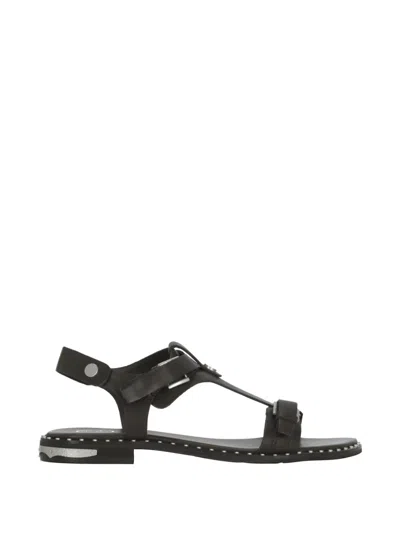 Ash Stud-embellished Flat Sandals In Brown
