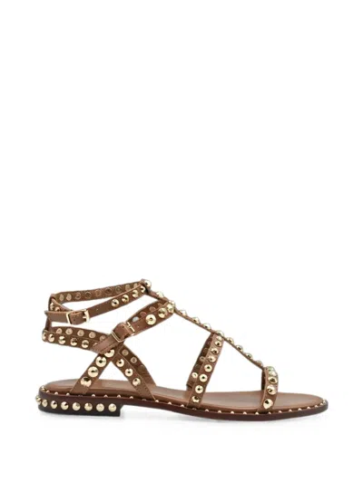 Ash Stud-embellished Leather Sandals In Brown