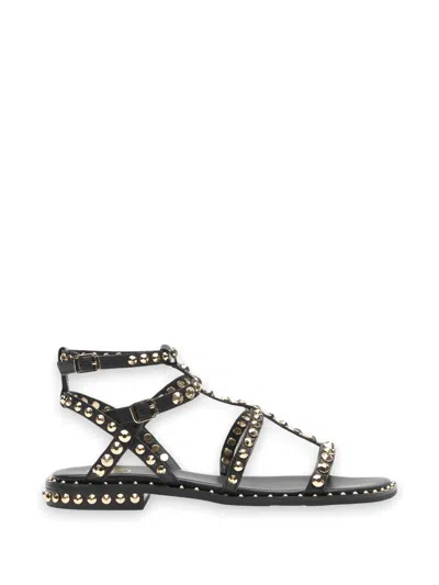 Ash Stud-embellished Sandals In Black