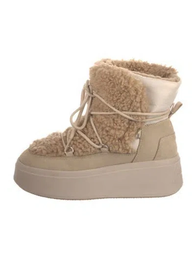 Pre-owned Ash Suede Colorblock Pattern Lace-up Boots In Neutral