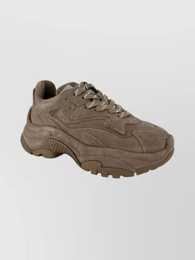 Ash Suede Lace-up Sneakers Chunky Sole In Brown