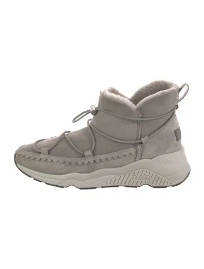 Pre-owned Ash Suede Lace-up Boots In Gray
