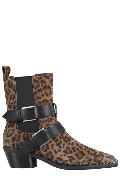 Ash Suede Leopardo In Animal Print