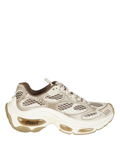 Ash Suede Platform Sneakers In Multi