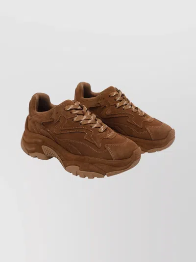 ASH SUEDE SNEAKERS WITH CHUNKY SOLE AND ROUND TOE