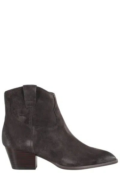 Ash Suede Velours In Brown
