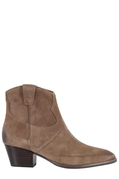 Ash Suede Velours In Brown