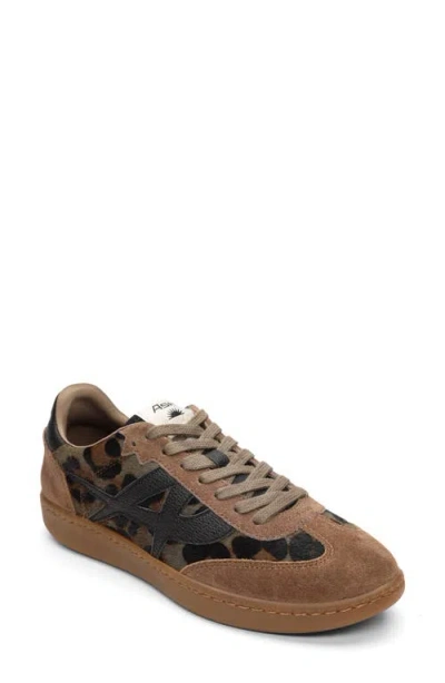 Ash Sunset Sneaker In Brown