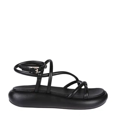 Ash Sandalo "vice" In Nero Scuri