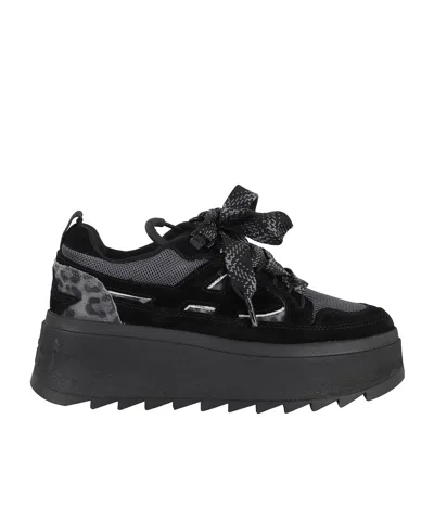 ASH THICK-SOLED CASUAL SHOES
