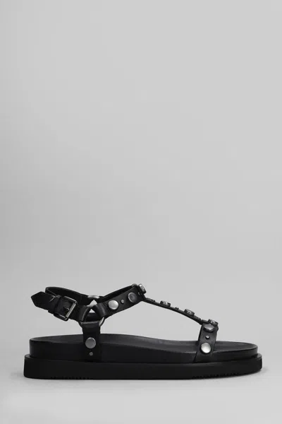 ASH ASH UGO FLATS