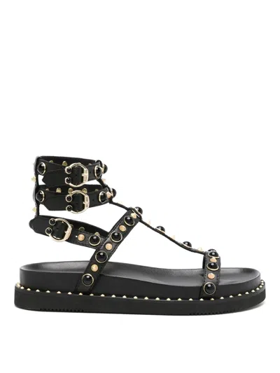 Ash Upup Studded Leather Sandals In Black