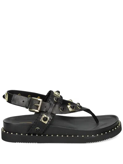 Ash Uteca Stud-embellished Leather Sandals In Black