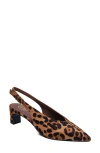Ash Vera Slingback Pump In Brown Multi