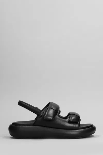Ash Vinci Sandals In Black Leather