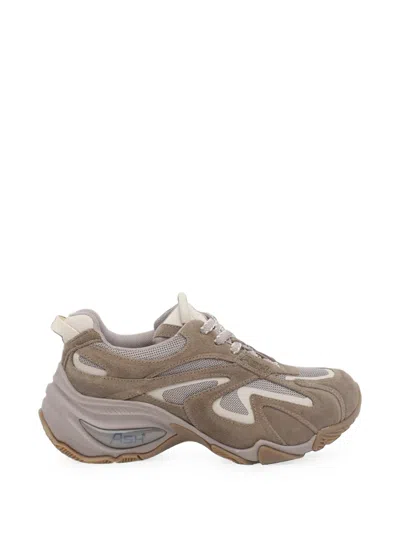 Ash Viper Panelled Suede Sneakers In Brown