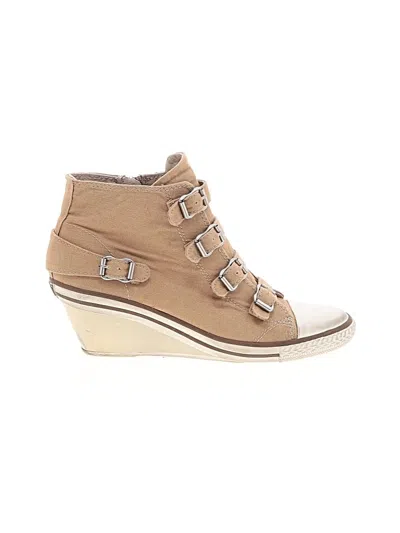 Pre-owned Ash Wedges In Tan
