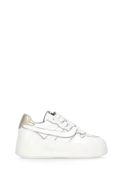 ASH ASH WHITE MATCH BIS SNEAKERS