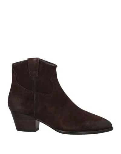 Ash Ankle Boots In Brown