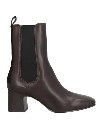 Ash Woman Ankle Boots Dark Brown Size 6 Leather