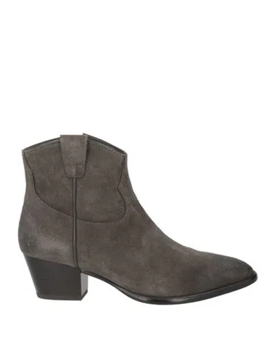 Ash Woman Ankle Boots Grey Size 8 Leather In Gray