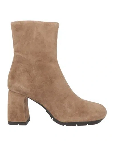 Ash Woman Ankle Boots Khaki Size 10 Leather In Brown