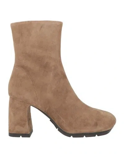 Ash Woman Ankle Boots Taupe Size 7 Leather In Brown