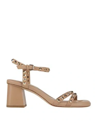 Ash Woman Sandals Beige Size 8 Leather In Brown