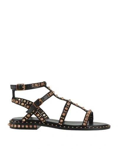 Ash Studded Black Calf Leather Sandal In Nero Scuri