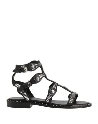 Ash Pacha Stud-embellished Sandals In Black