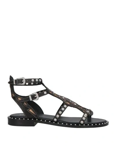 Ash Plaza Cage Sandal In Black