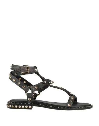 ASH ASH WOMAN SANDALS BLACK SIZE 8 LEATHER