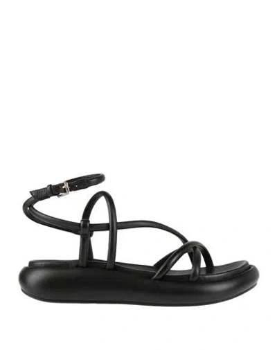 ASH ASH WOMAN SANDALS BLACK SIZE 8 LEATHER