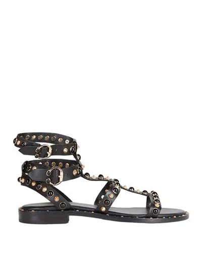 ASH ASH WOMAN SANDALS BLACK SIZE 8 LEATHER