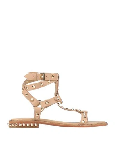 Ash Woman Sandals Blush Size 8 Leather In Neutral