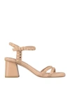 Ash Woman Sandals Blush Size 8 Leather In Rosa Pastello