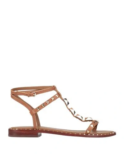 Ash Woman Sandals Brown Size 6 Leather