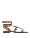 Ash Passion Stud Embellished Sandals In Cinnamon