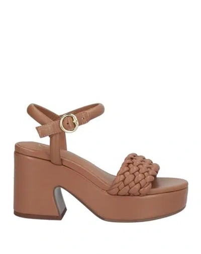 ASH ASH WOMAN SANDALS BROWN SIZE 7 LEATHER