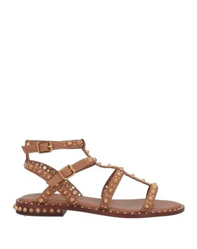 Ash Leather Sandals In Brown