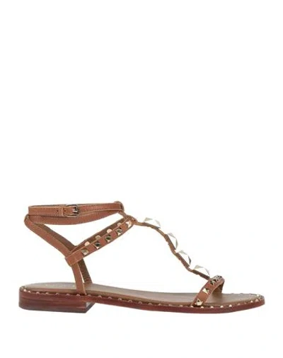 Ash Woman Sandals Brown Size 8 Leather