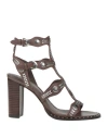 Ash Woman Sandals Chocolate Brown Size 7 Leather In Brown