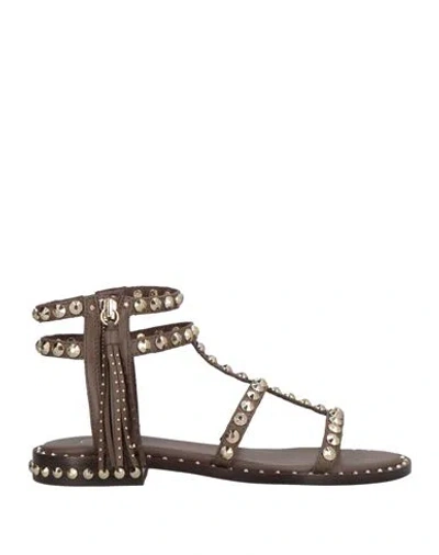 Ash Woman Sandals Dark Brown Size 8 Soft Leather